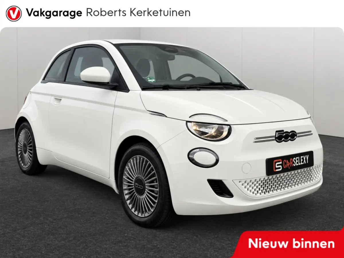 Icon 42 kWh | SOH 96% | Carplay | Climate Control | Cruise Control | Navigatie | DAB