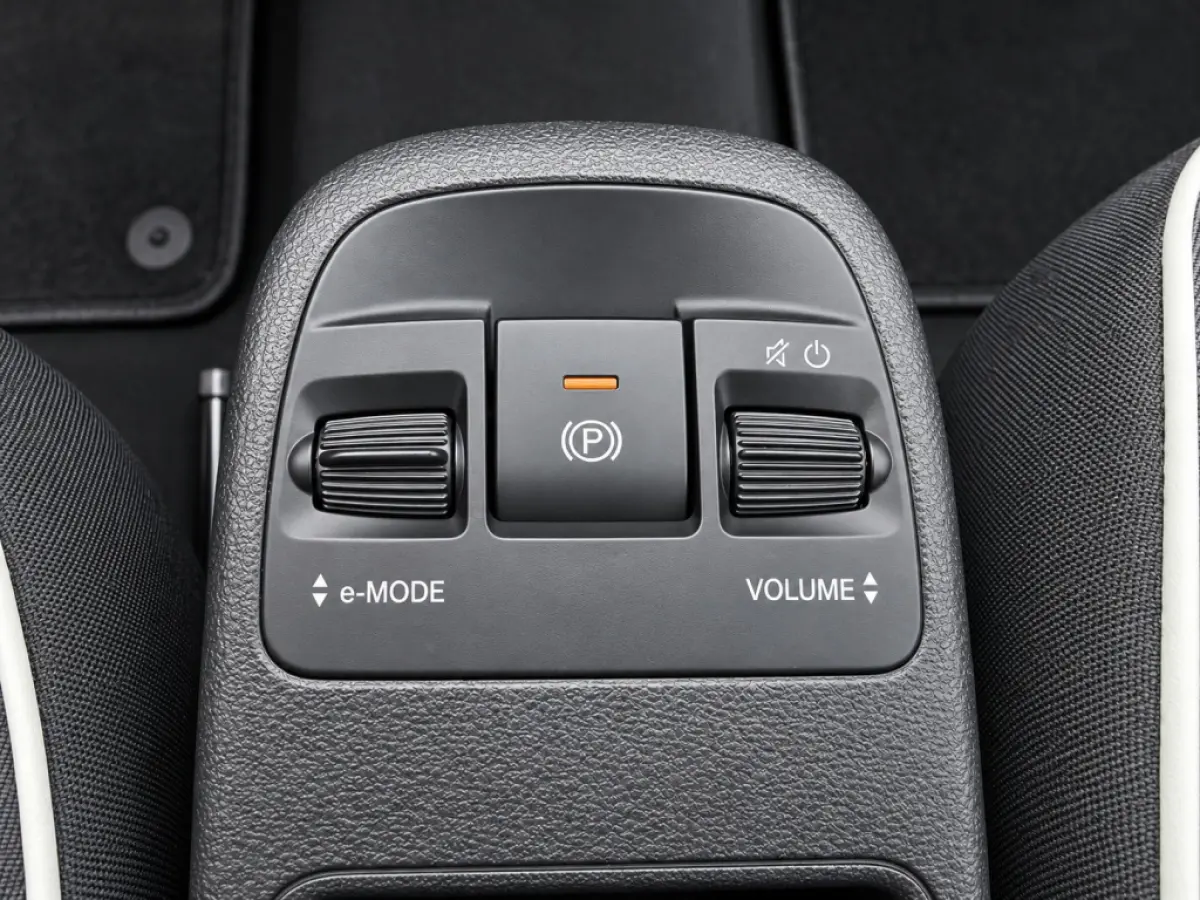 Icon 42 kWh | SOH 96% | Carplay | Climate Control | Cruise Control | Navigatie | DAB