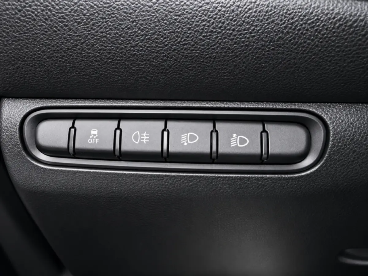Icon 42 kWh | SOH 96% | Carplay | Climate Control | Cruise Control | Navigatie | DAB