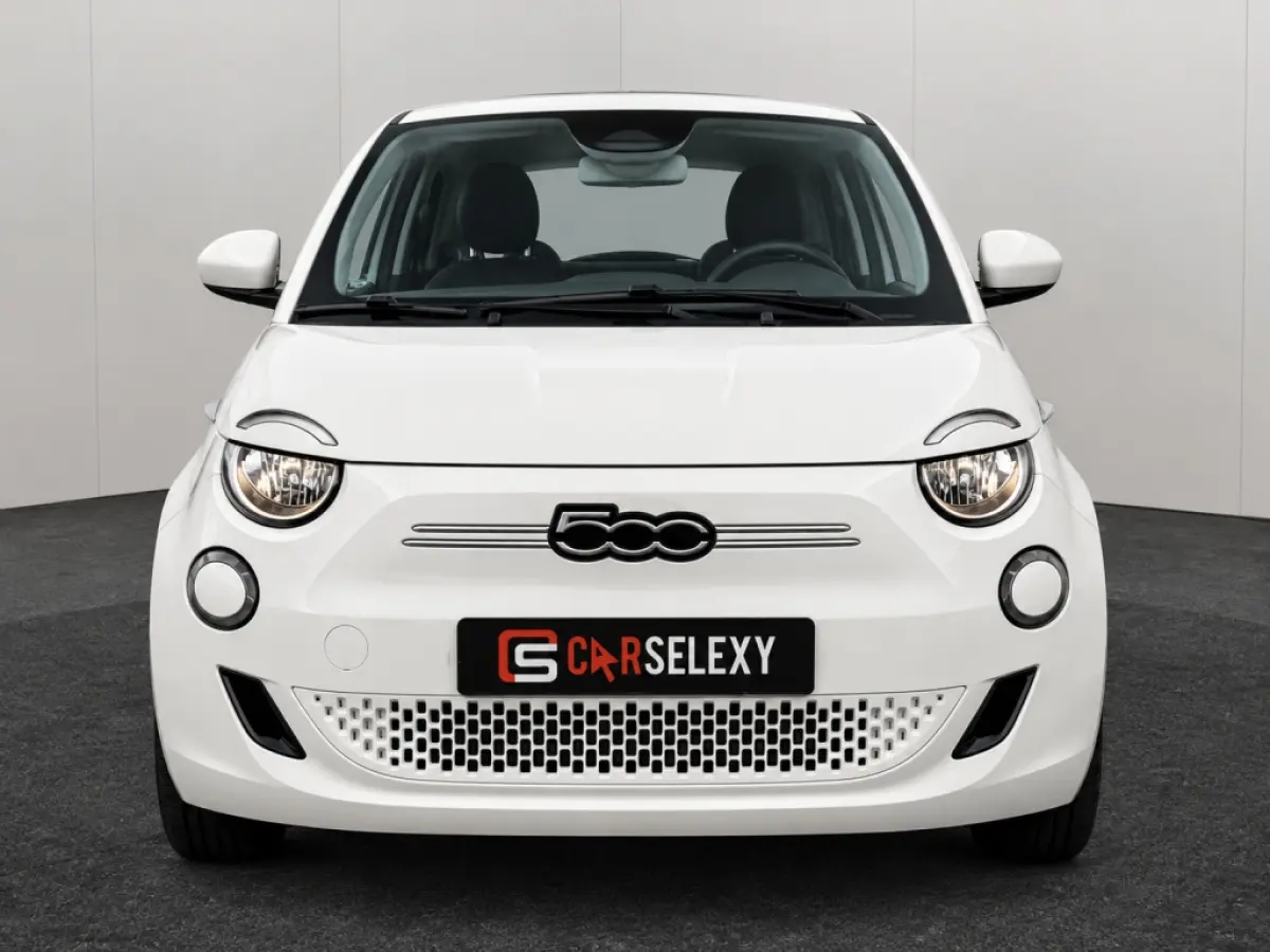 Icon 42 kWh | SOH 96% | Carplay | Climate Control | Cruise Control | Navigatie | DAB