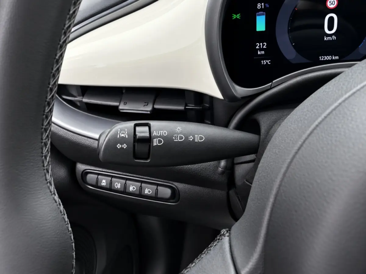 Icon 42 kWh | SOH 96% | Carplay | Climate Control | Cruise Control | Navigatie | DAB