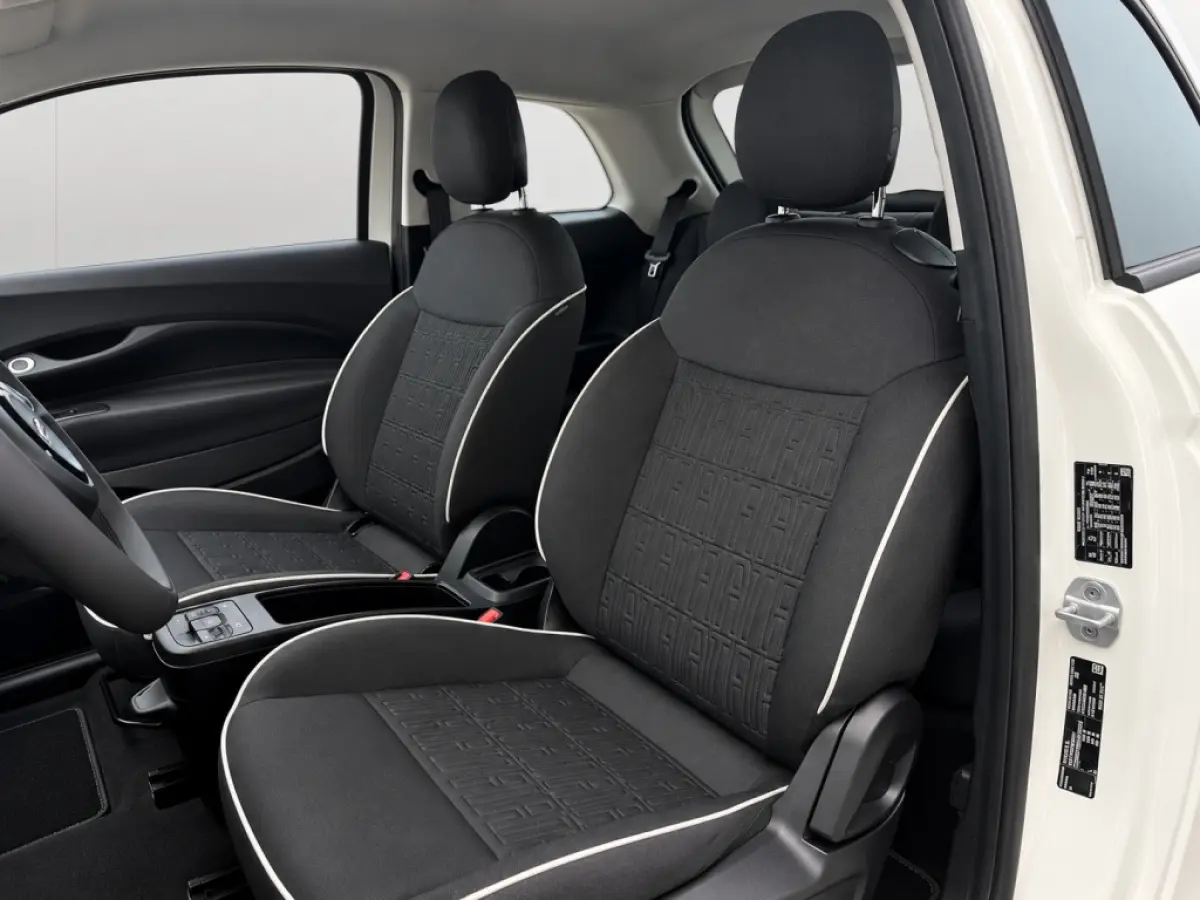 Icon 42 kWh | SOH 96% | Carplay | Climate Control | Cruise Control | Navigatie | DAB