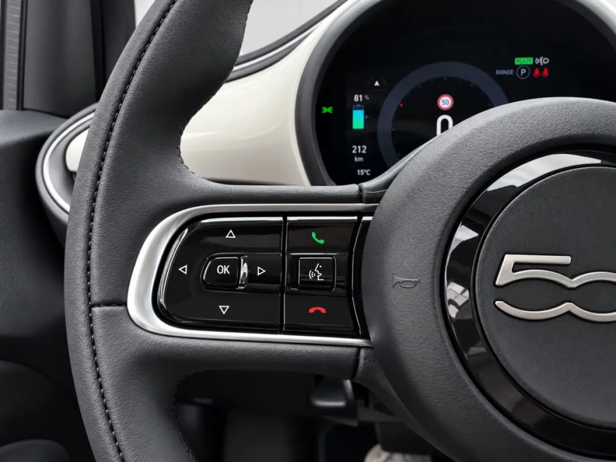 Icon 42 kWh | SOH 96% | Carplay | Climate Control | Cruise Control | Navigatie | DAB