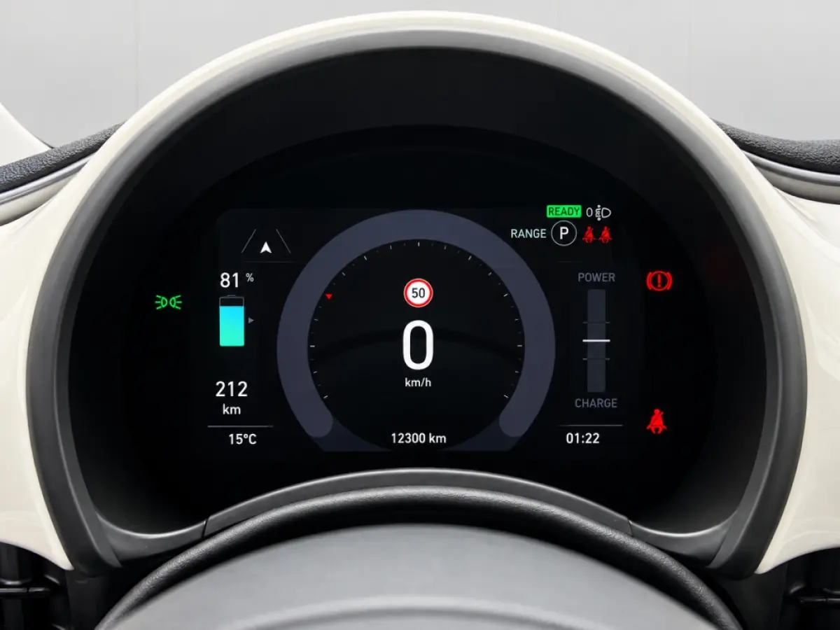 Icon 42 kWh | SOH 96% | Carplay | Climate Control | Cruise Control | Navigatie | DAB