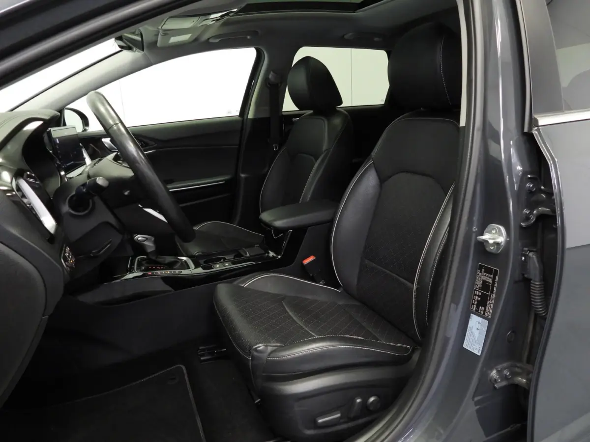 1.6 GDI PHEV Plug-In ExecutiveLine LEER/SCHUIFDAK/LED/17"LMV!
