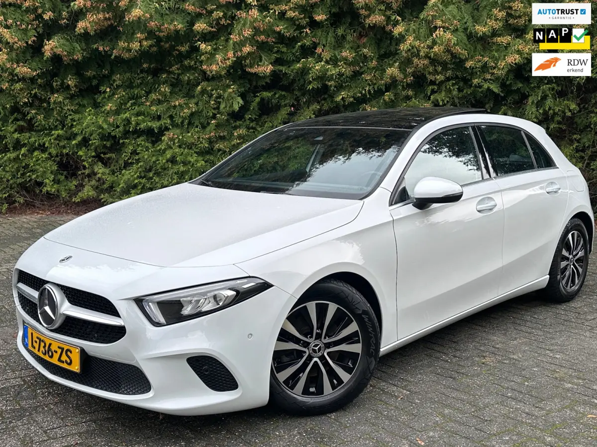 180 Business Solution 136PK | PANO | Parkeercamera | Apple/Android Carplay | Stoelverwarming