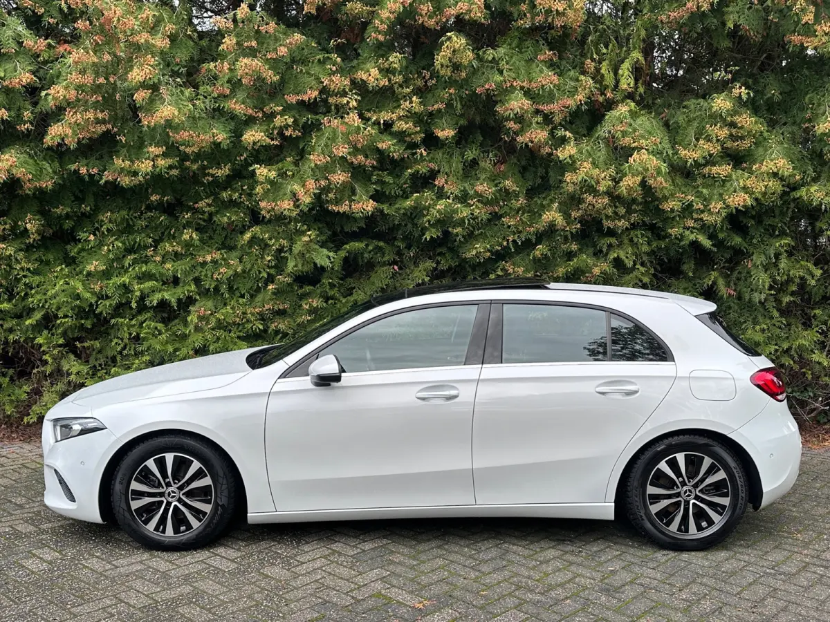 180 Business Solution 136PK | PANO | Parkeercamera | Apple/Android Carplay | Stoelverwarming