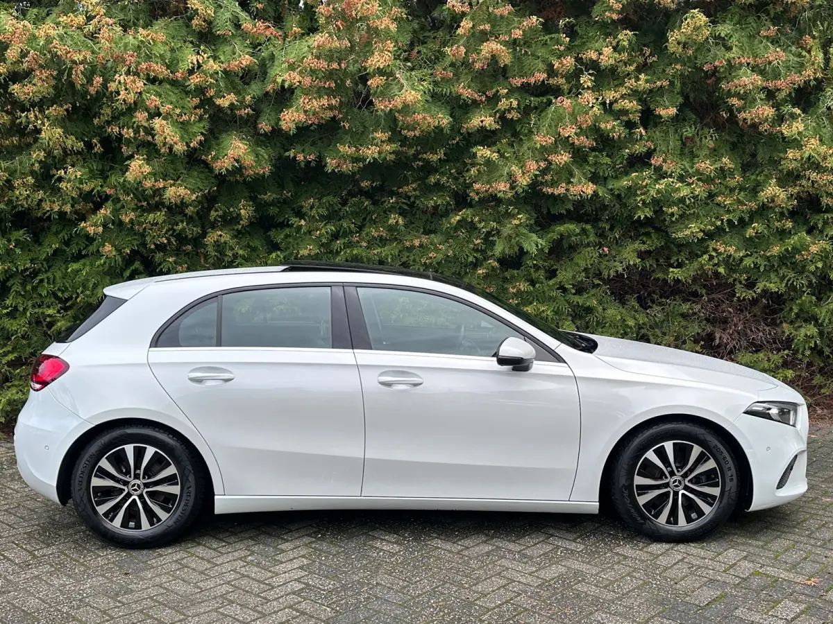 180 Business Solution 136PK | PANO | Parkeercamera | Apple/Android Carplay | Stoelverwarming