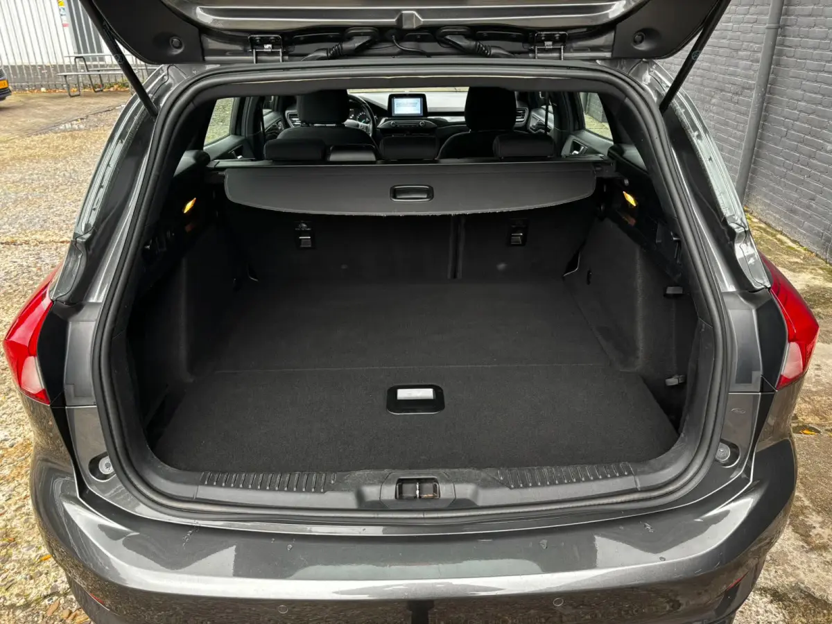 1.0 EcoBoost ST Line Business STOELVER|TREKHAAK|NAVI|PDC|NWE APK