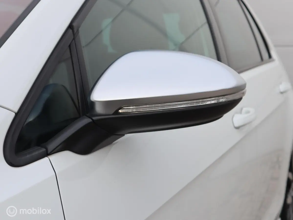 2.0 TSI R 4Motion Pano LED Camera Leer 19 inch