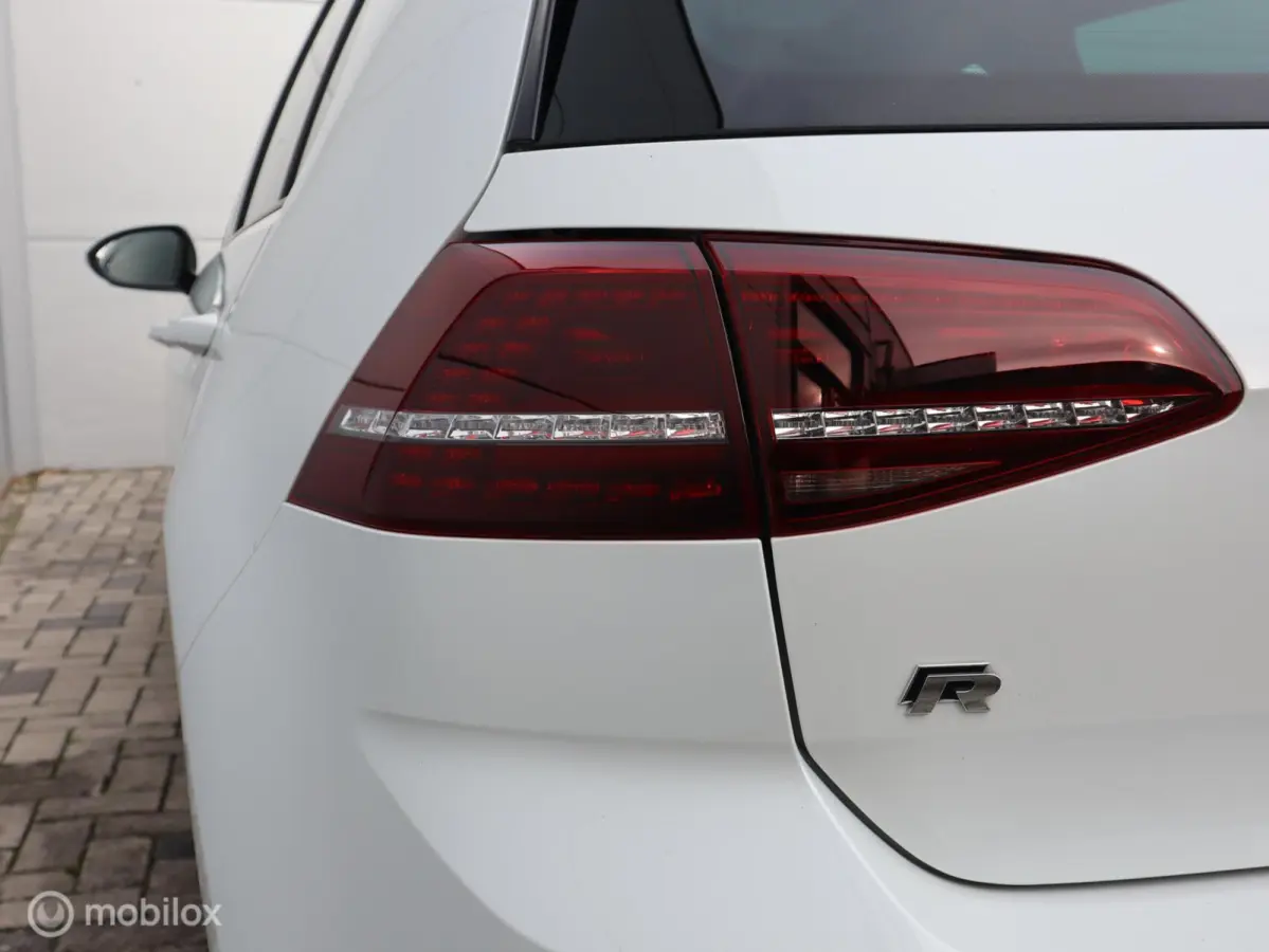 2.0 TSI R 4Motion Pano LED Camera Leer 19 inch