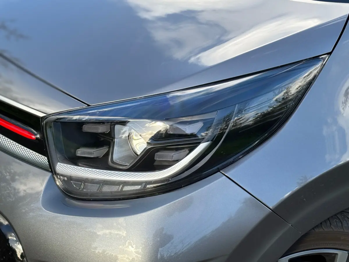 1.0 DPi GT-Line Automaat/Leder/Navi/Camera/Acc