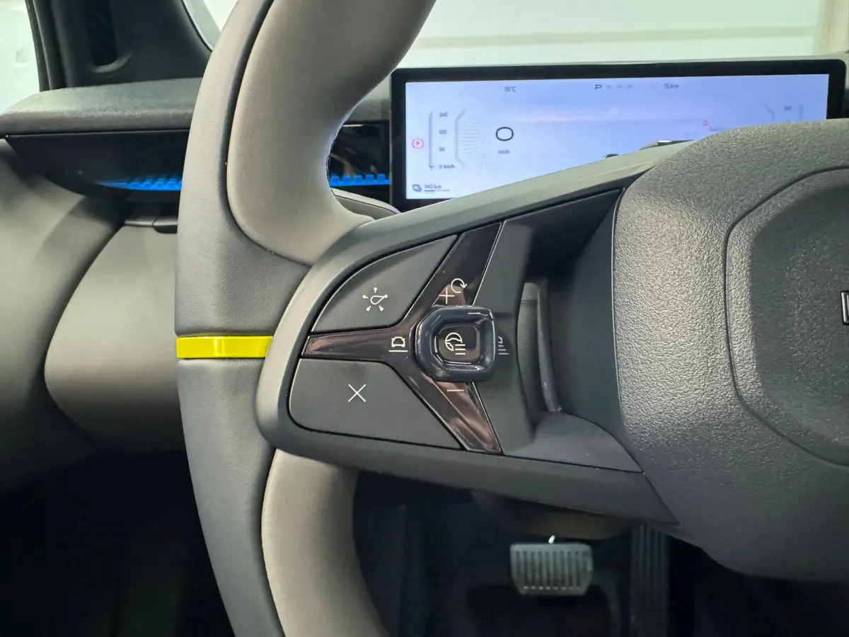 More 66 kWh | 22 kW lader | 360 Camera | Memory seats | High end audio | Apple Carplay/Android Auto |