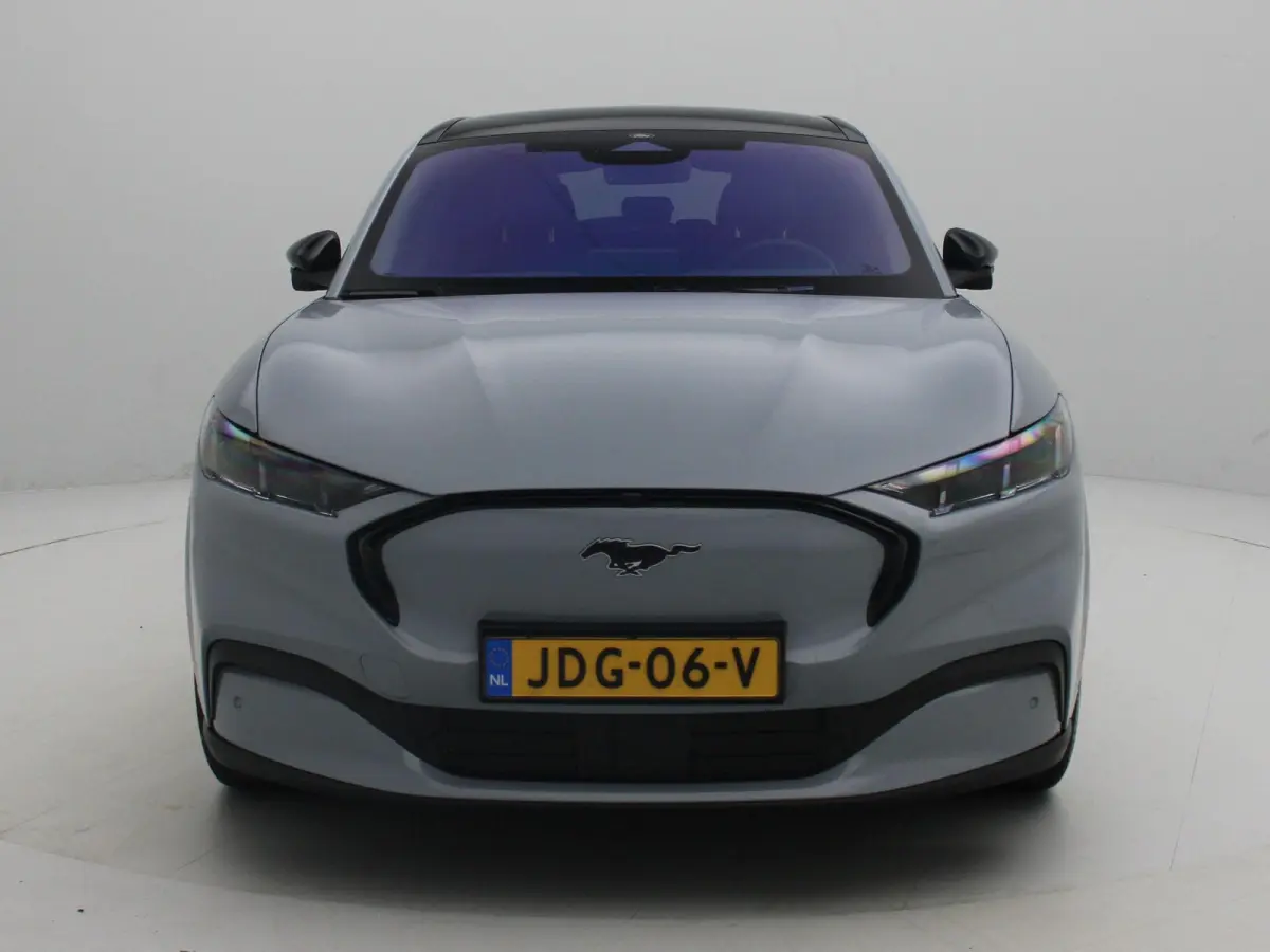 Extended Premium RWD 88 kWh | Apple Carplay/Android Auto | Winterpakket |  Achteruitrijcamera | Cruise Control | Lichtmetalen Velgen |