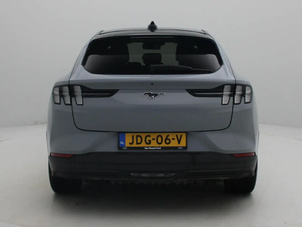 Extended Premium RWD 88 kWh | Apple Carplay/Android Auto | Winterpakket |  Achteruitrijcamera | Cruise Control | Lichtmetalen Velgen |