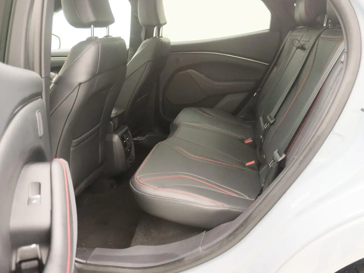 Extended Premium RWD 88 kWh | Apple Carplay/Android Auto | Winterpakket |  Achteruitrijcamera | Cruise Control | Lichtmetalen Velgen |