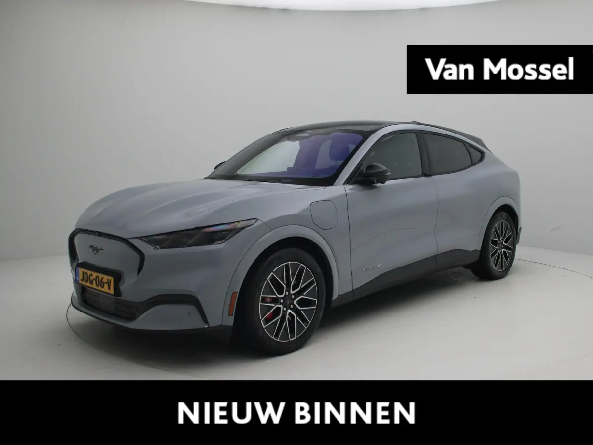 Extended Premium RWD 88 kWh | Apple Carplay/Android Auto | Winterpakket |  Achteruitrijcamera | Cruise Control | Lichtmetalen Velgen |