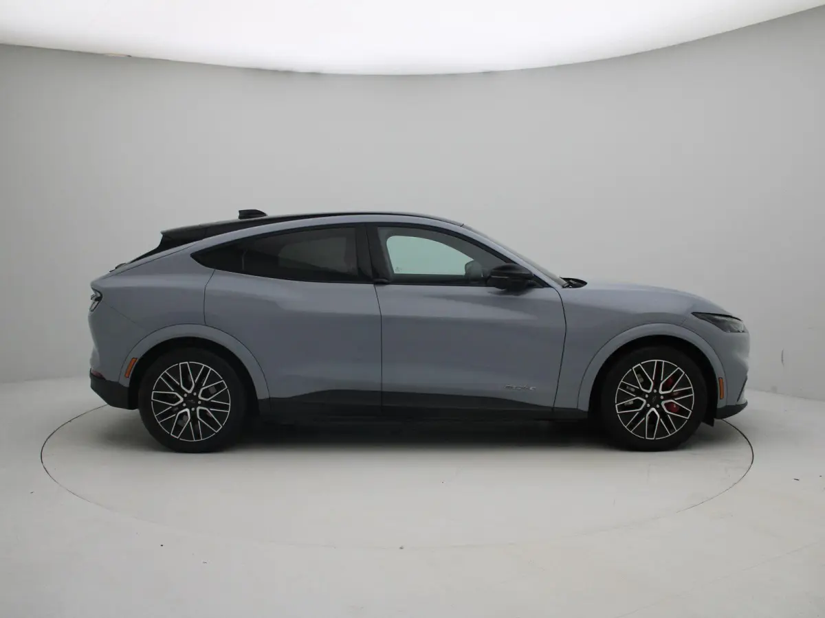 Extended Premium RWD 88 kWh | Apple Carplay/Android Auto | Winterpakket |  Achteruitrijcamera | Cruise Control | Lichtmetalen Velgen |