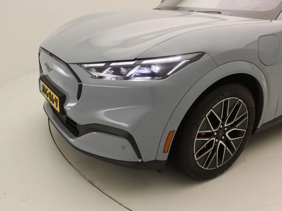 Extended Premium RWD 88 kWh | Apple Carplay/Android Auto | Winterpakket |  Achteruitrijcamera | Cruise Control | Lichtmetalen Velgen |