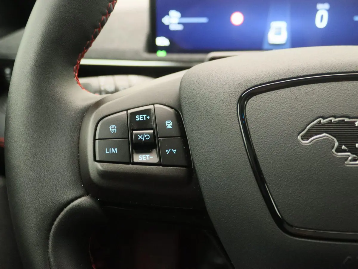 Extended Premium RWD 88 kWh | Apple Carplay/Android Auto | Winterpakket |  Achteruitrijcamera | Cruise Control | Lichtmetalen Velgen |