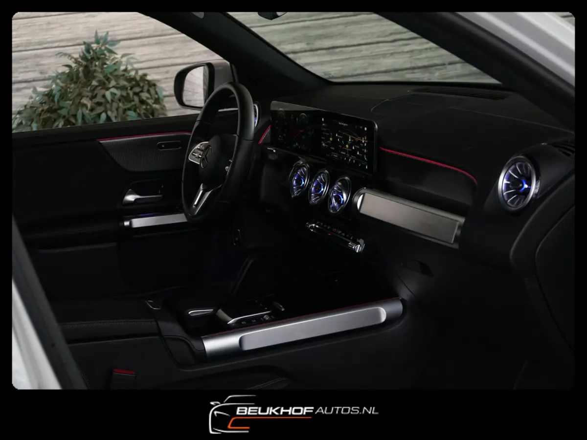 250+ Business Edition 71 kWh Leer SOH 96%