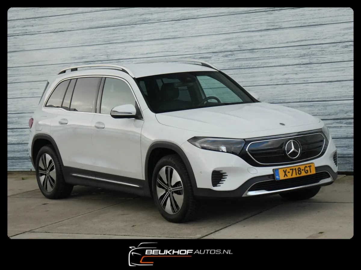 250+ Business Edition 71 kWh Leer SOH 96%