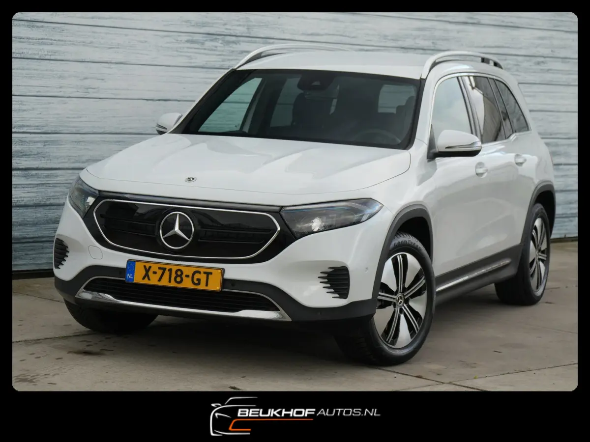 250+ Business Edition 71 kWh Leer SOH 96%
