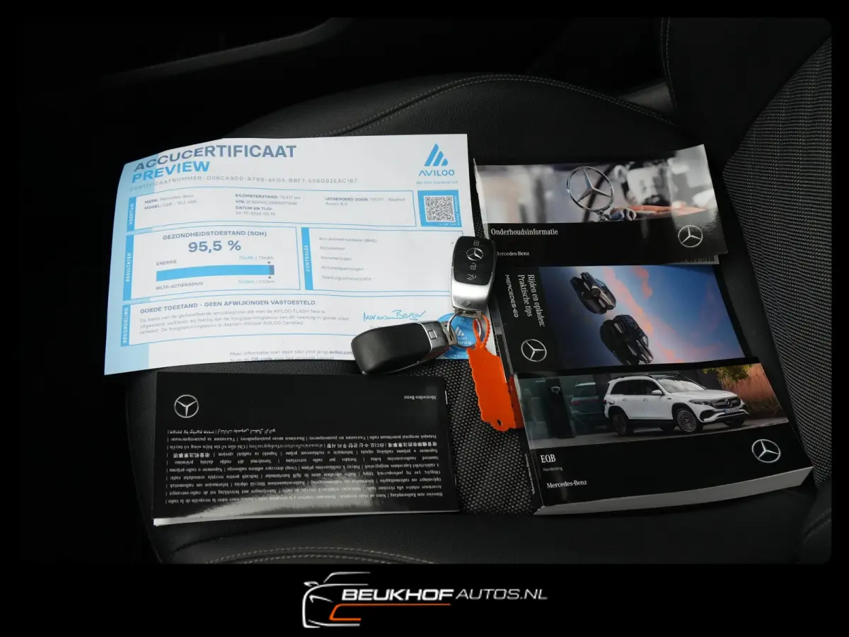 250+ Business Edition 71 kWh Leer SOH 96%
