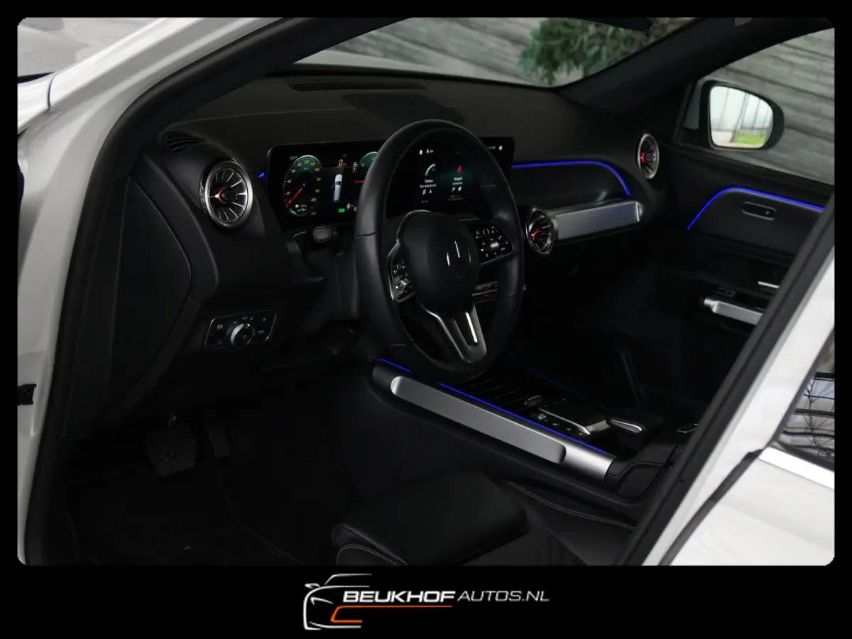 250+ Business Edition 71 kWh Leer SOH 96%