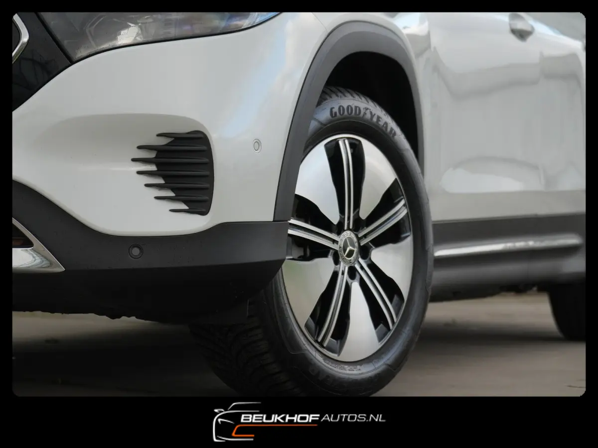 250+ Business Edition 71 kWh Leer SOH 96%