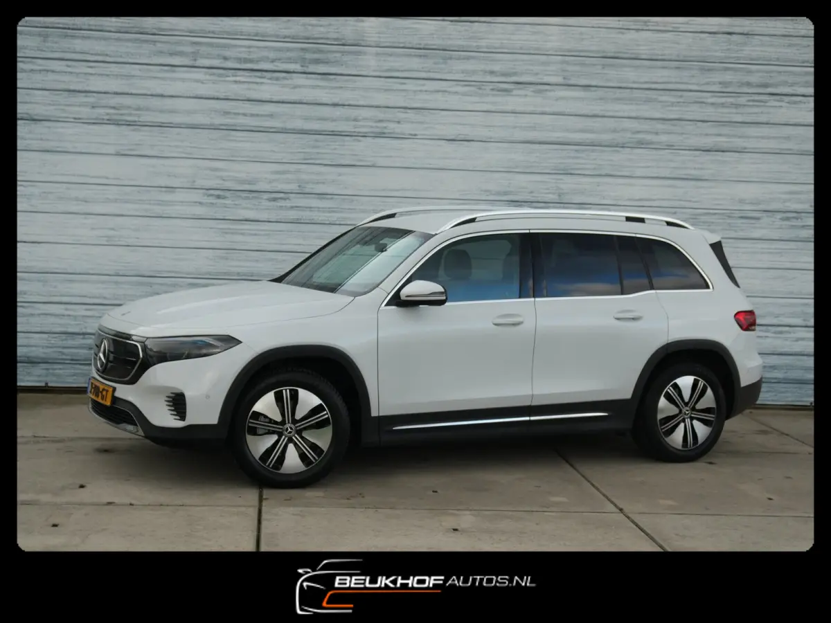 250+ Business Edition 71 kWh Leer SOH 96%