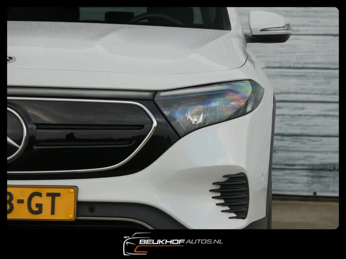250+ Business Edition 71 kWh Leer SOH 96%
