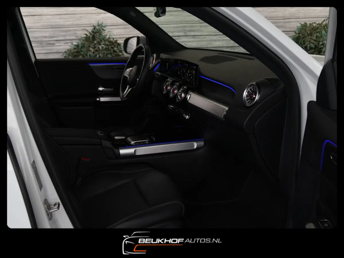 250+ Business Edition 71 kWh Leer SOH 96%
