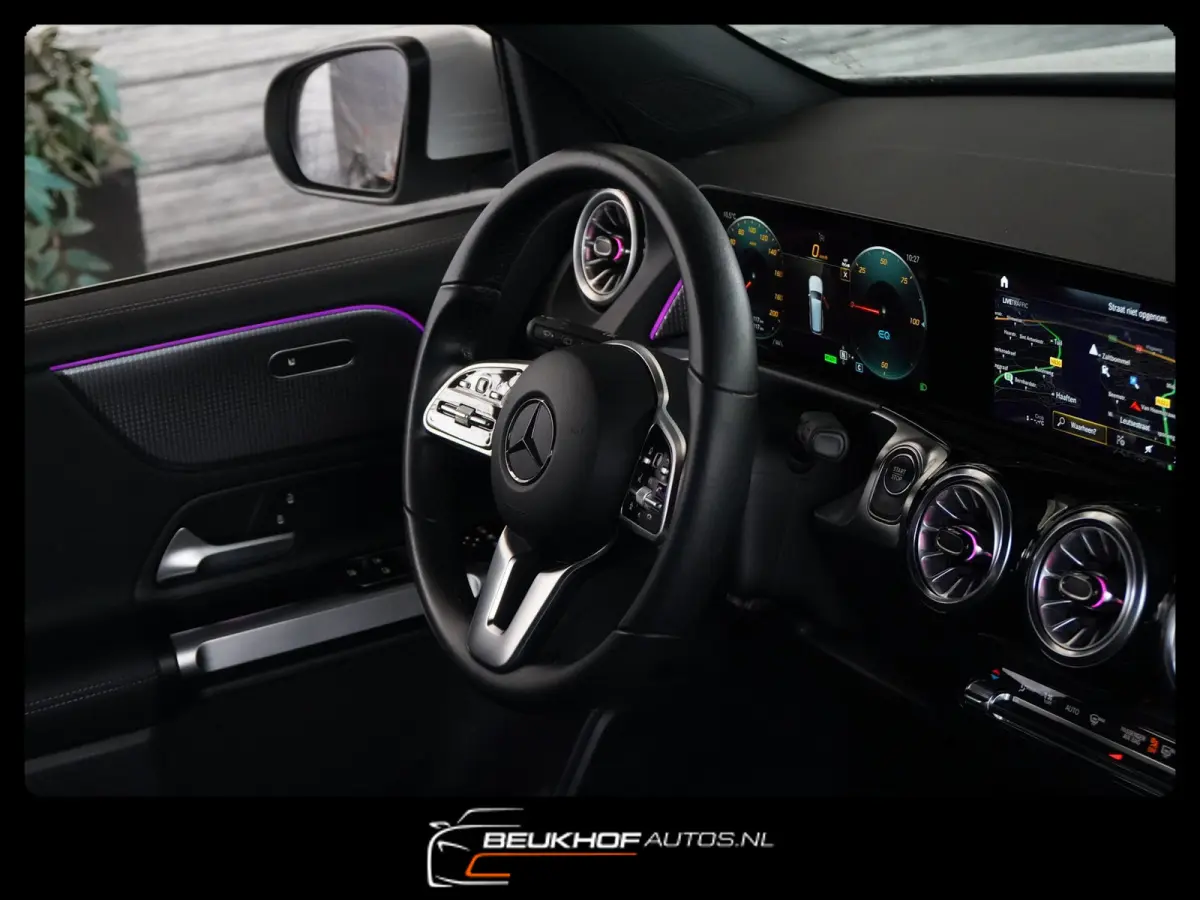 250+ Business Edition 71 kWh Leer SOH 96%