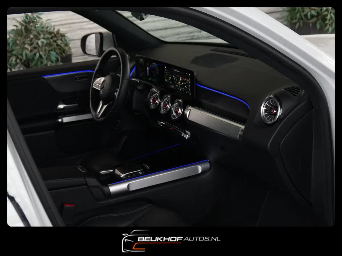 250+ Business Edition 71 kWh Leer SOH 96%