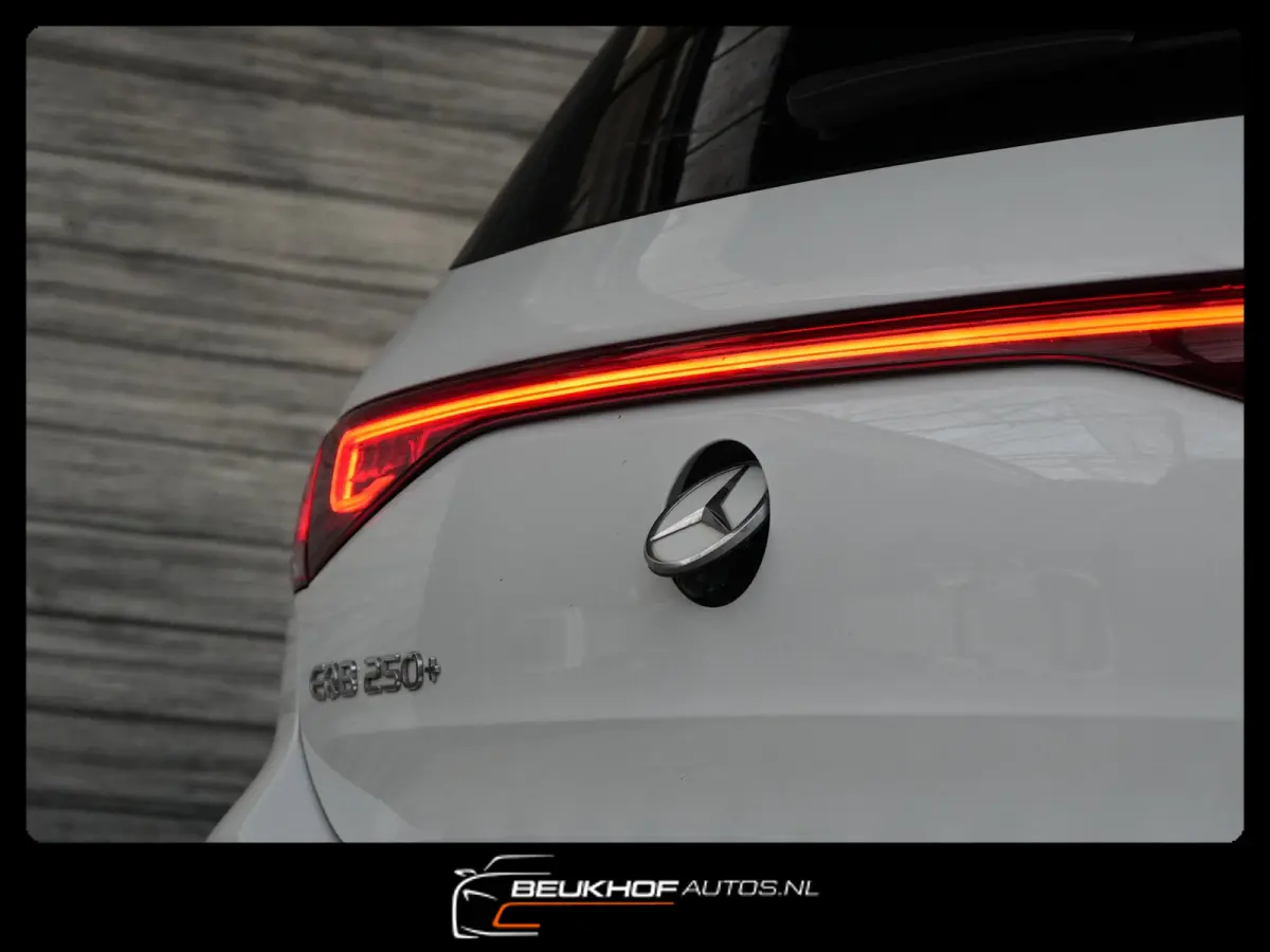 250+ Business Edition 71 kWh Leer SOH 96%