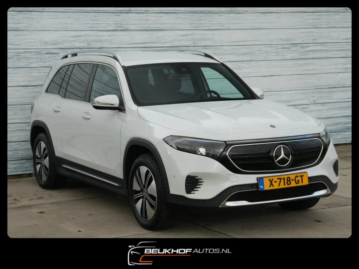 250+ Business Edition 71 kWh Leer SOH 96%