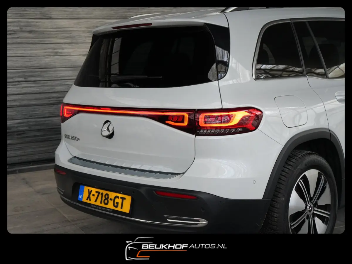 250+ Business Edition 71 kWh Leer SOH 96%