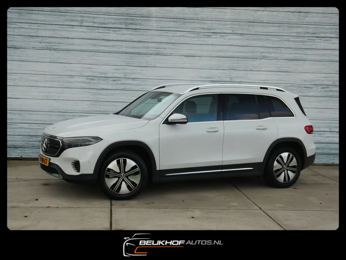 250+ Business Edition 71 kWh Leer SOH 96%