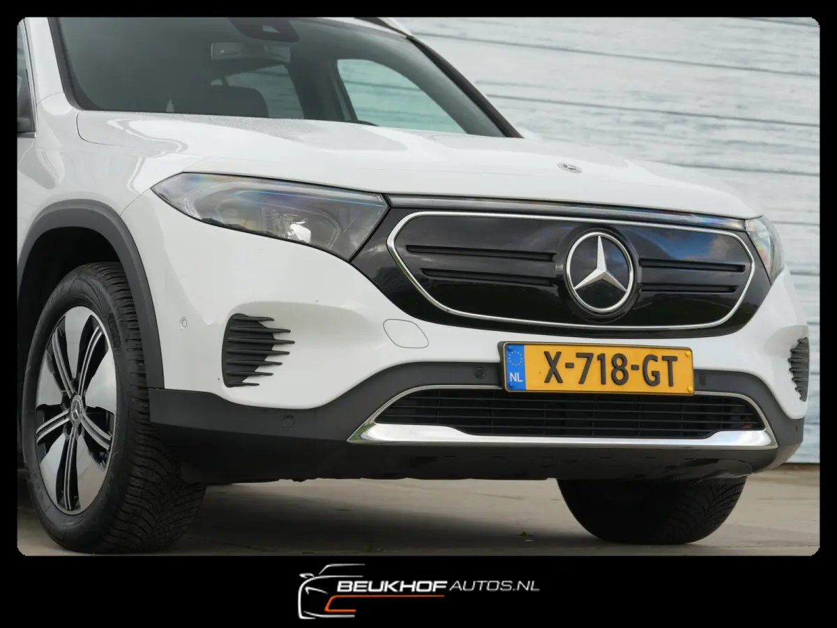 250+ Business Edition 71 kWh Leer SOH 96%
