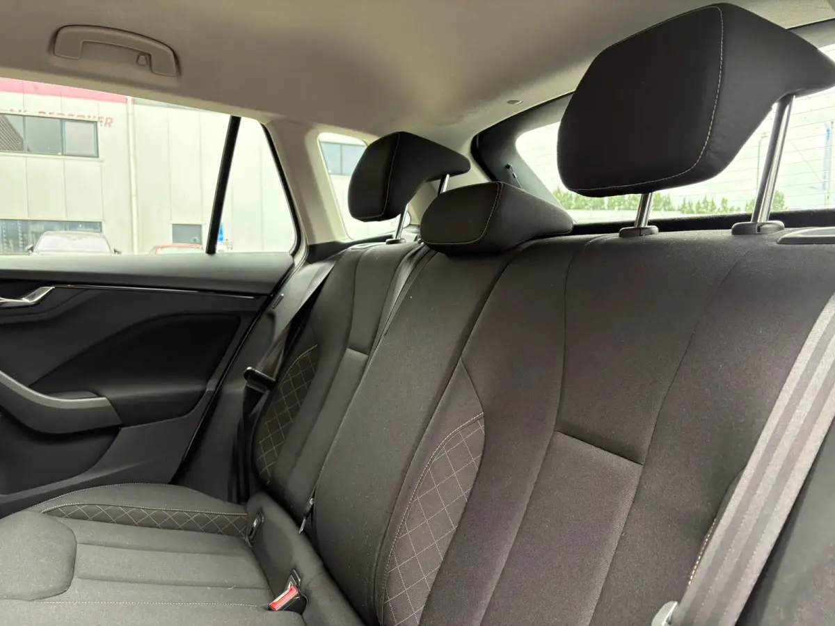 1.0 TSI 110 pk Ambition | Apple Carplay | Cruise control | Lane Assist |