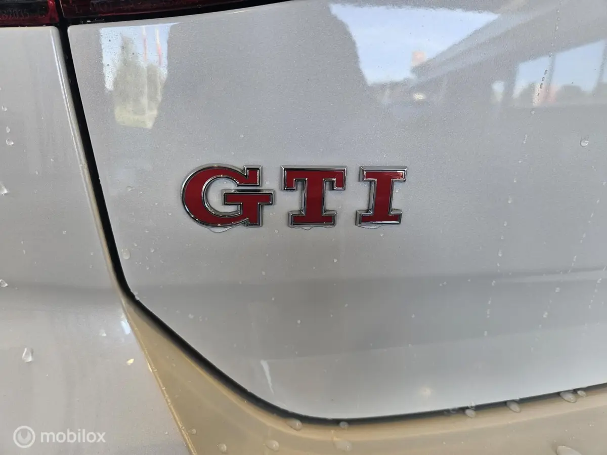2.0 TSI GTI Performance
