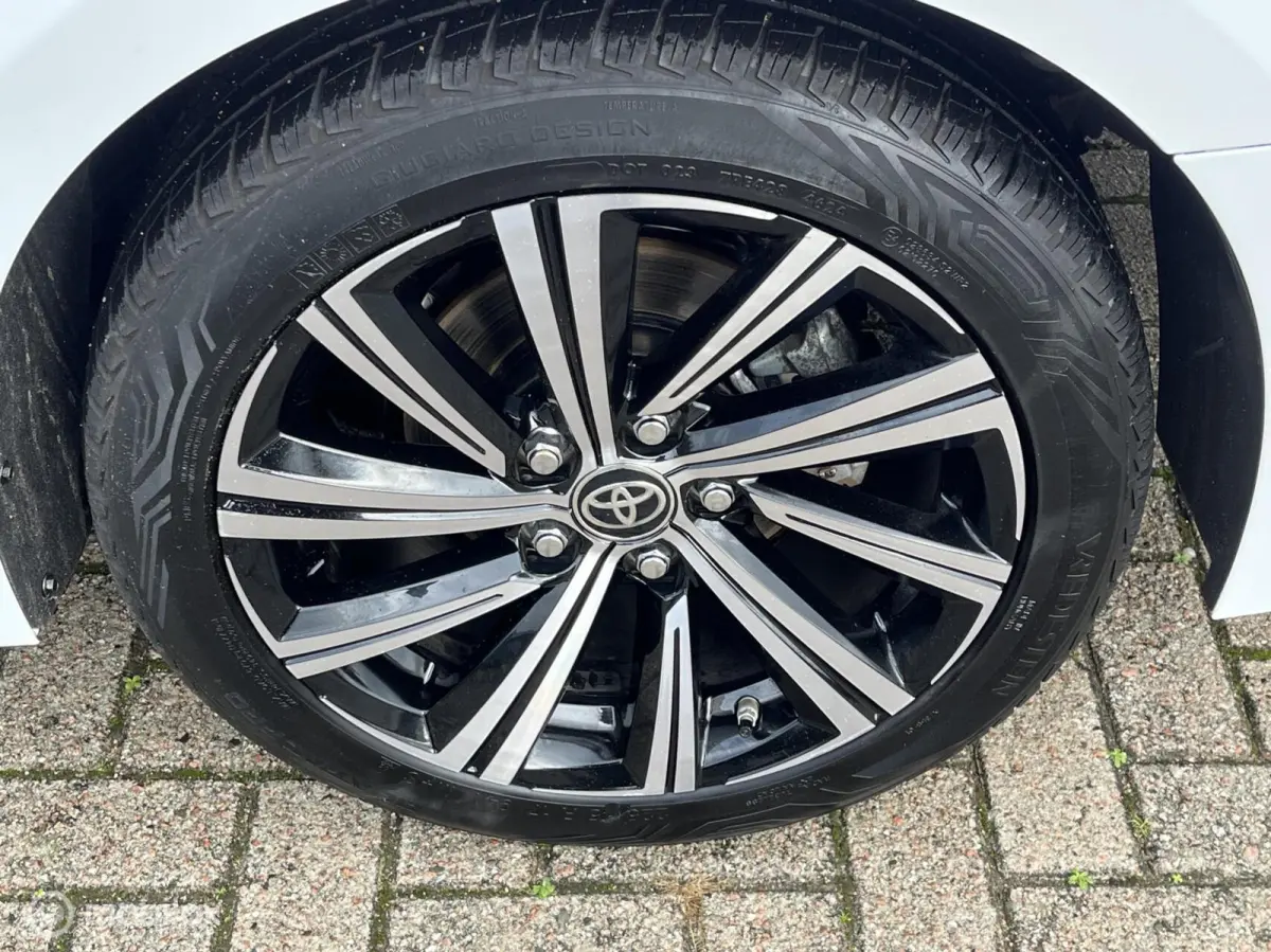 2.0 Hybrid Aut,Trekhaak, Vol !