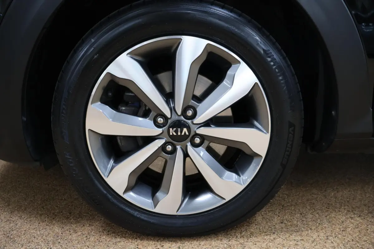 1.0 T-GDi MHEV DynamicPlusLine | Camera | Navi