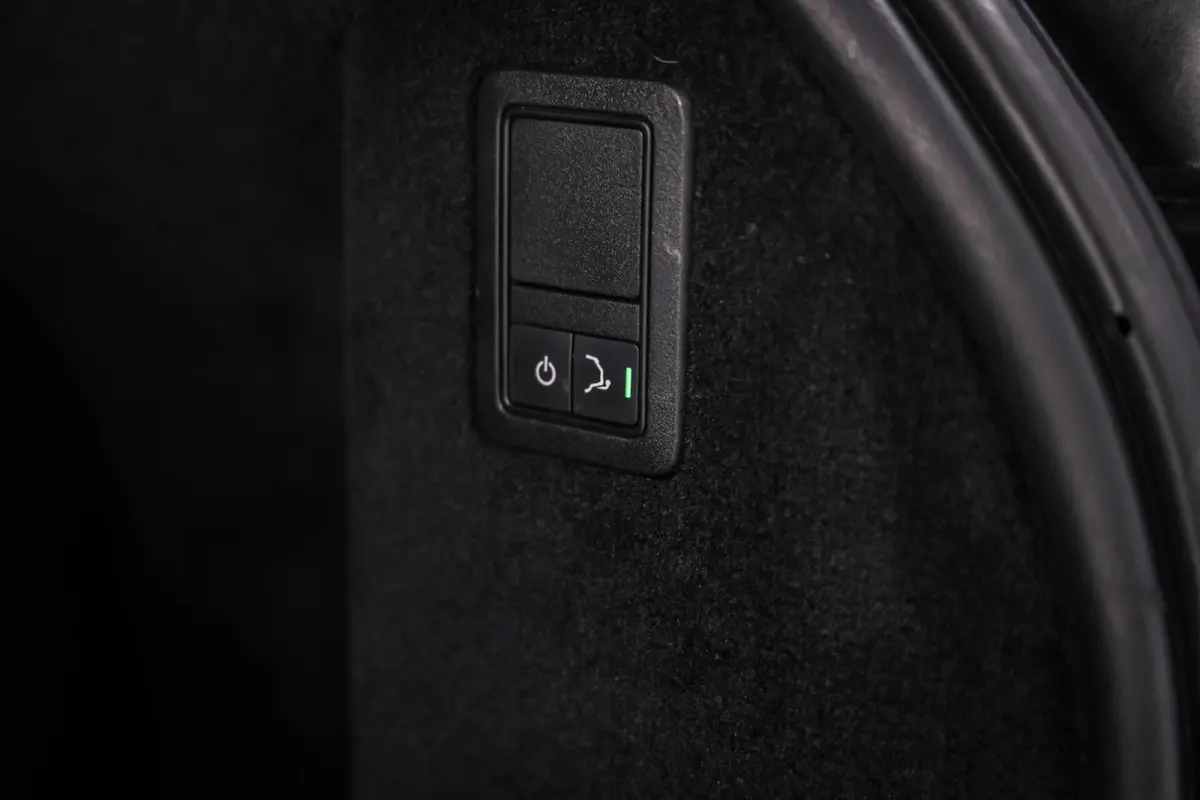 4.4 SDV8 Autobiography Dynamic