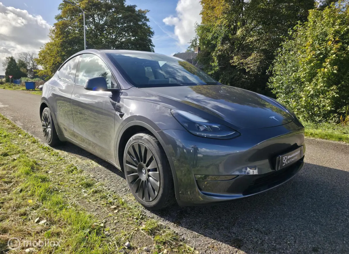 Long Range AWD 75 kWh / Trekhaak / Leder