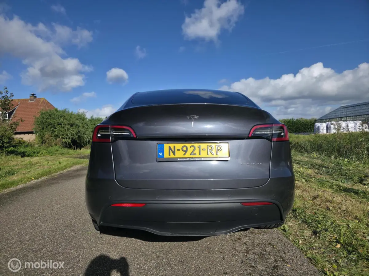 Long Range AWD 75 kWh / Trekhaak / Leder