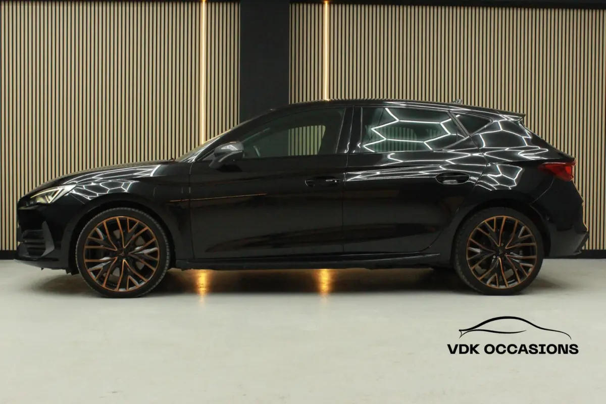 1.4 e-Hybrid VZ Performance| Stuur Knoppen|Camera