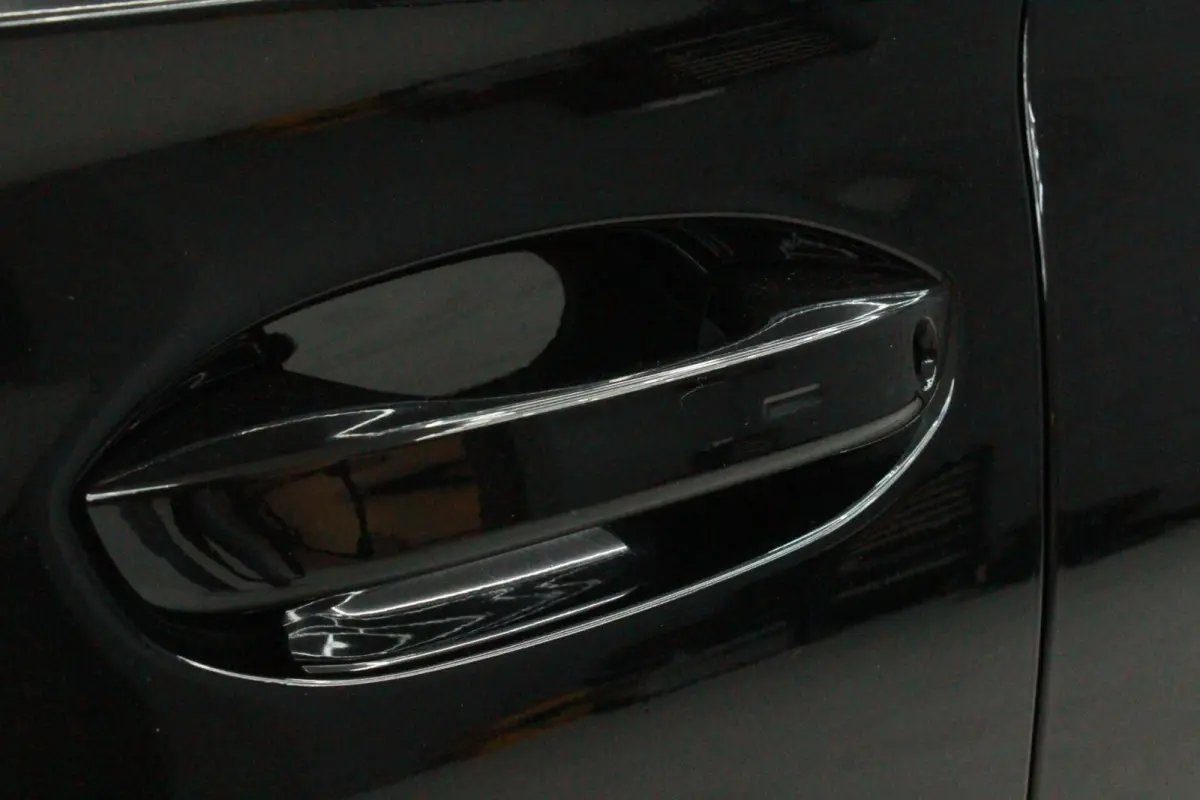 1.4 e-Hybrid VZ Performance| Stuur Knoppen|Camera