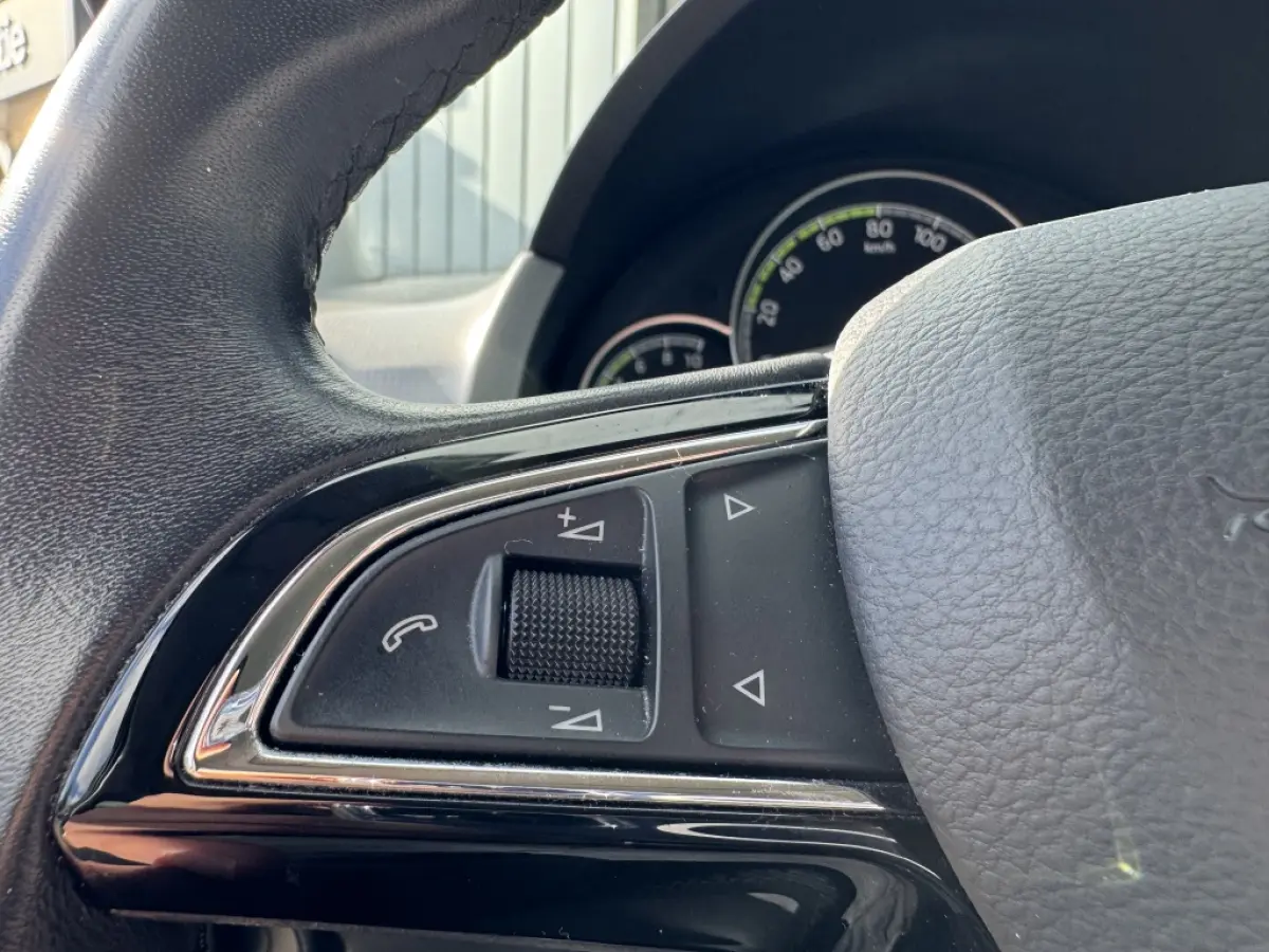 EV Style | Cruise | Bluteooth | DAB+ | Climate